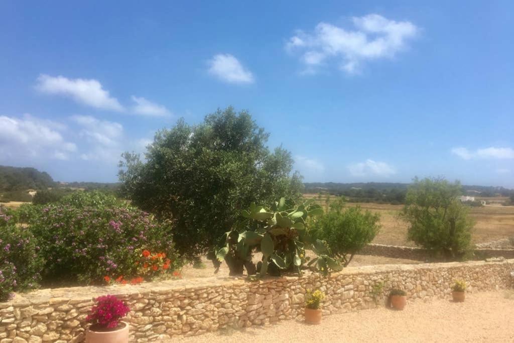 San Francisco Javier Casa Rural Es Cap De Barbaria מראה חיצוני תמונה