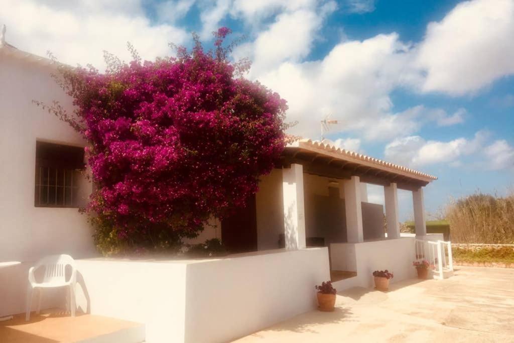 San Francisco Javier Casa Rural Es Cap De Barbaria מראה חיצוני תמונה