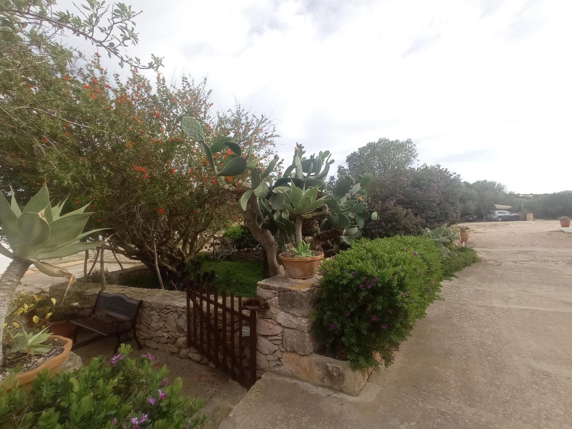 San Francisco Javier Casa Rural Es Cap De Barbaria מראה חיצוני תמונה